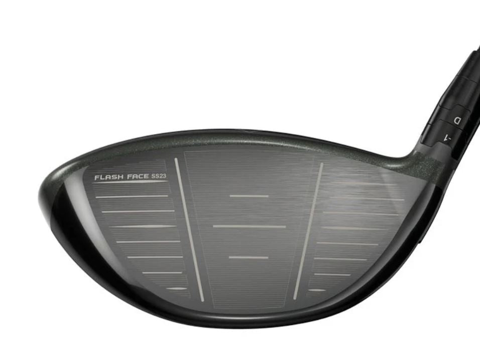 Great Big Bertha Ladies Driver - Shopthatapp.ca