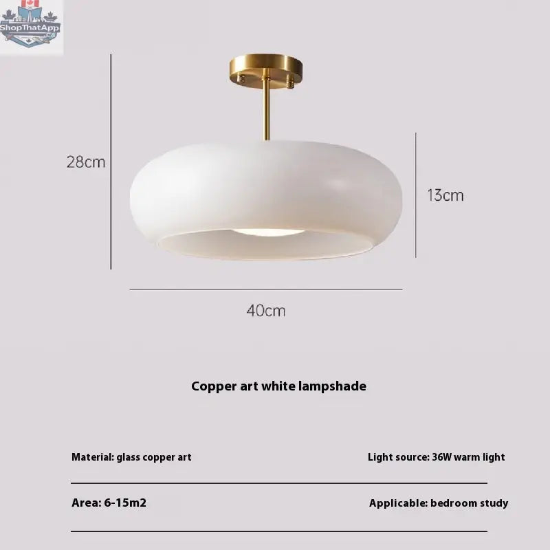 Creative Minimalist Bag LED Persimmon Balcony Aisle Ceiling Light   Dining-room Lamp - Shopthatapp.ca
