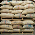 Colombia Excelso Gran Galope Coffee from Cauca - Premium Quality Brew - Shopthatapp.ca