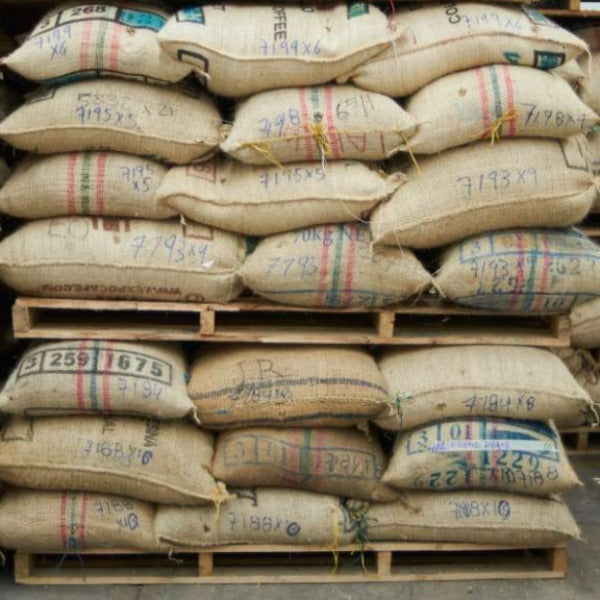 Colombia Excelso Gran Galope Coffee from Cauca - Premium Quality Brew - Shopthatapp.ca