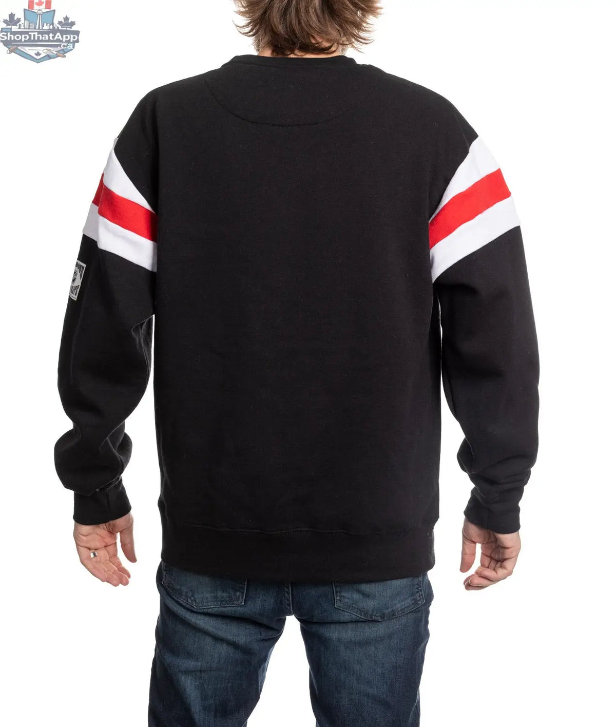 Detroit Red Wings crewneck sweater in retro varsity style, featuring team logo and classic design, by Calhoun Surf N' Skate.