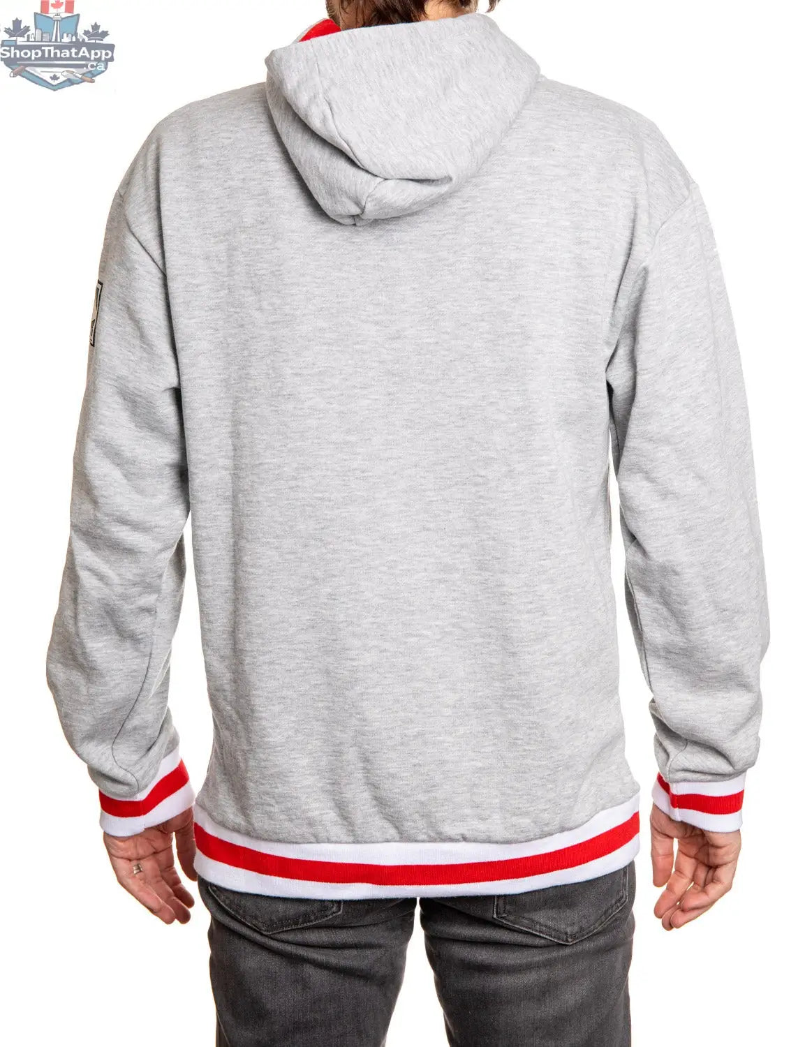 Detroit Red Wings hoodie by Calhoun Surf N' Skate featuring a premium chenille woven logo in Muskoka style, NHL official merchandise.
