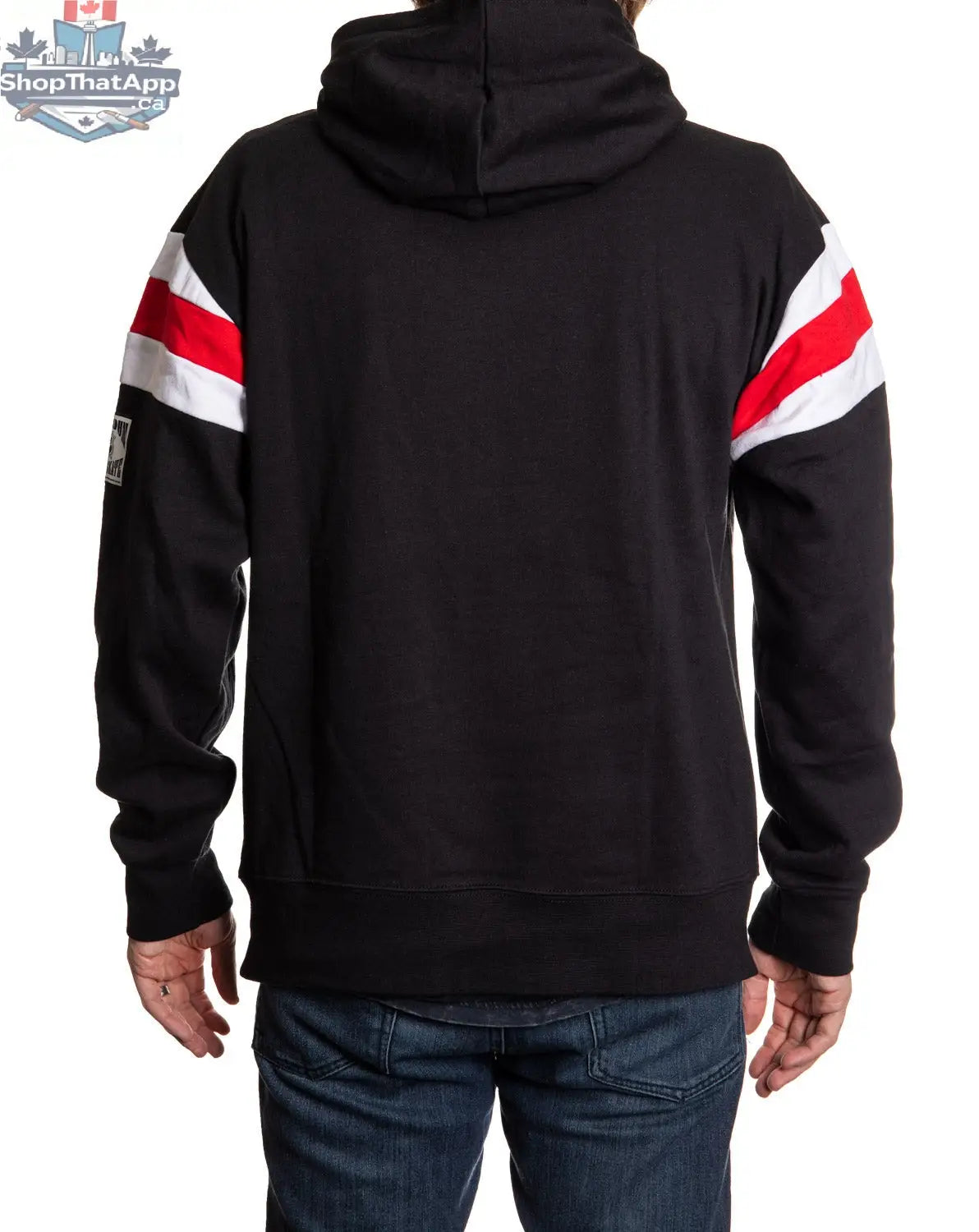 Detroit Red Wings varsity hoodie by Calhoun Surf N' Skate, featuring a classic retro fan apparel style with team logo on the back.