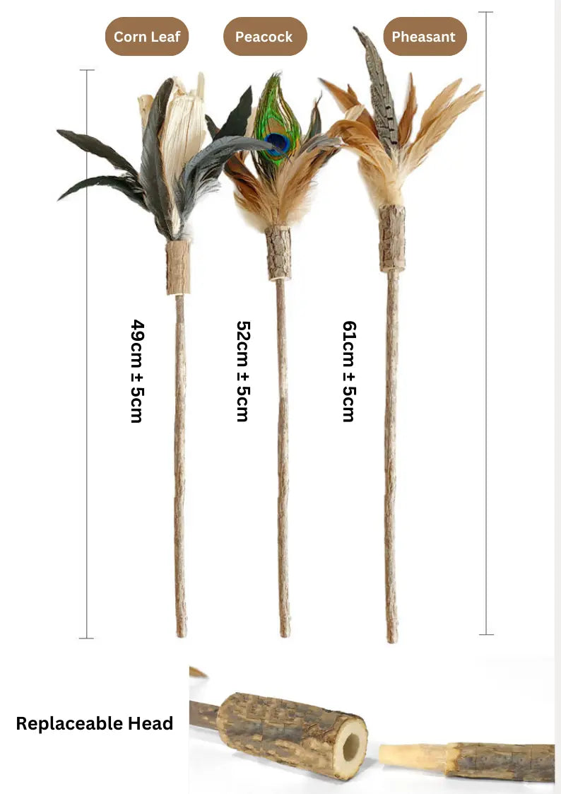 CATWANT Silvervine Cat Teaser Set with 2 replaceable heads and a silvervine rod, designed for interactive feline play.