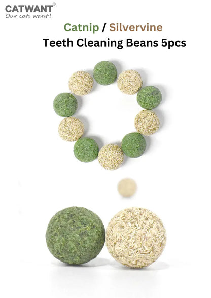 CATWANT natural catnip teeth cleaning beans with silvervine, 5-pack, soft toys for healthy feline dental care.