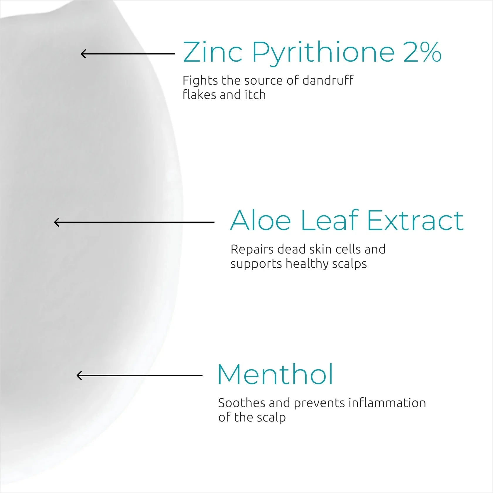 Dandrene Anti-Dandruff Conditioner - Shopthatapp.ca