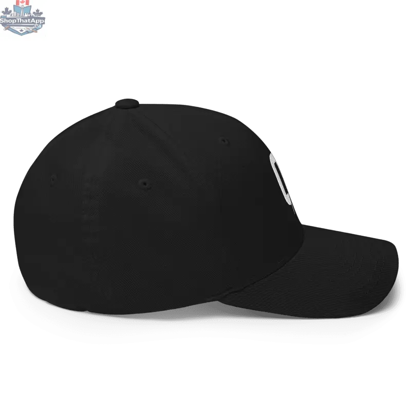 Black - Flexfit - Shopthatapp.ca