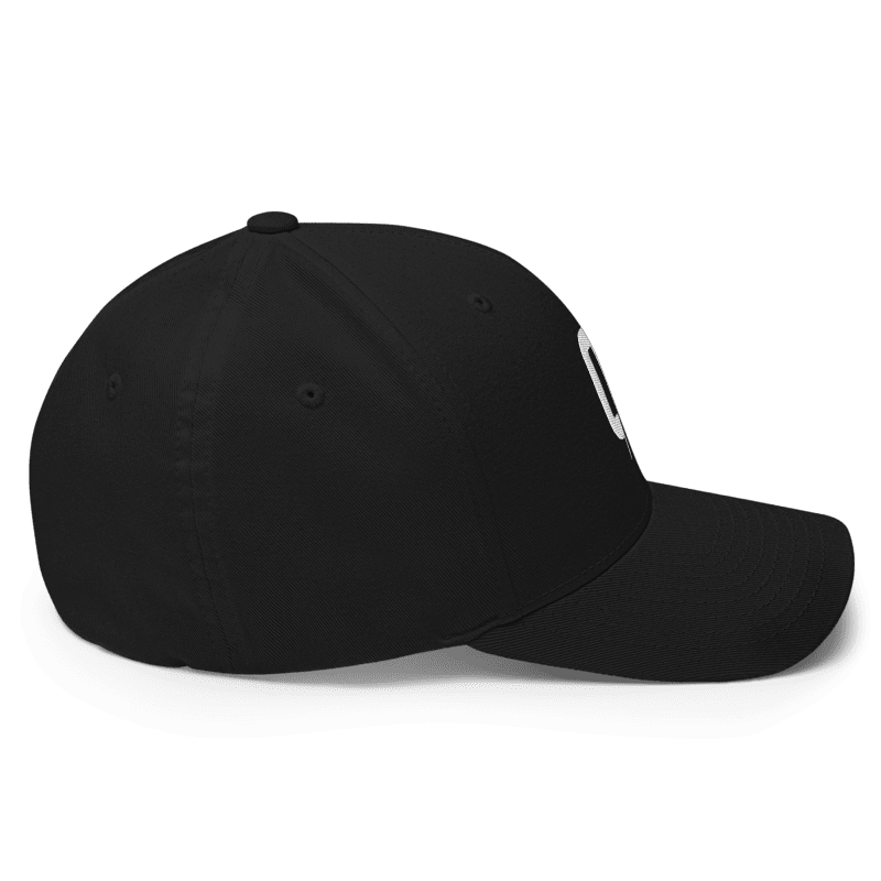 Black - Flexfit