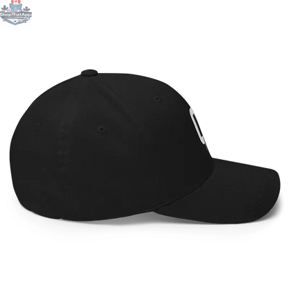Black - Flexfit - Shopthatapp.ca