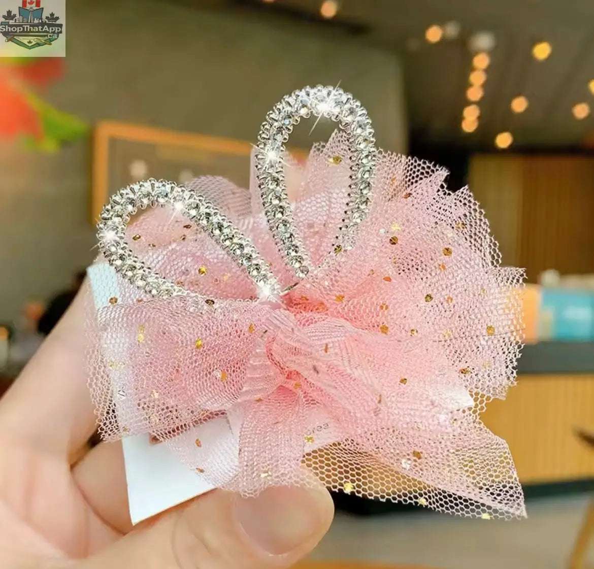 Princess Crown – Dog Crown Accessory - Shopthatapp.ca