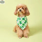 Saint Patrick’s Day Dog Bandana – Festive Holiday Pet Accessory - Shopthatapp.ca