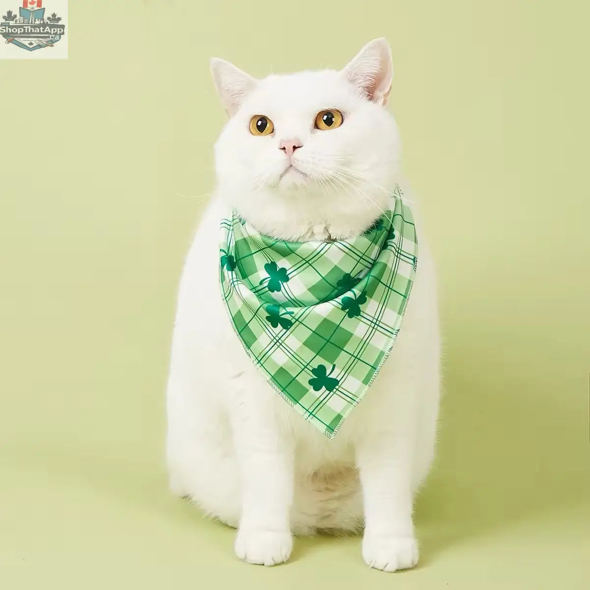Saint Patrick’s Day Dog Bandana – Festive Holiday Pet Accessory - Shopthatapp.ca