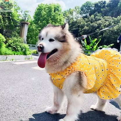 Daisy Spring Dress - Floral Dog Dress Large Breeds for Stylish Pets - Shopthatapp.ca
