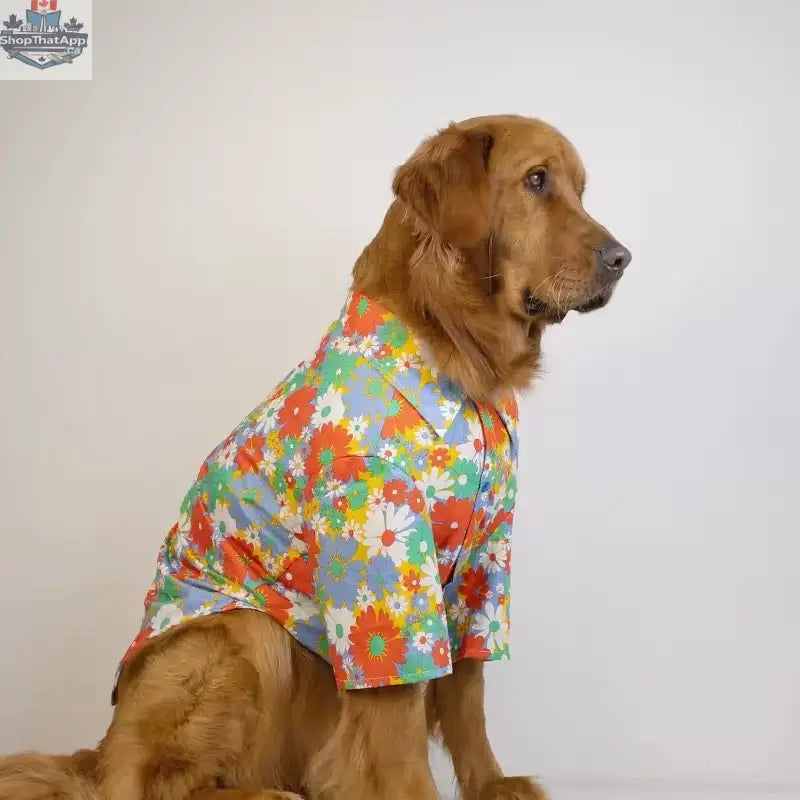 Merle Dog Shirt for Large Dogs - Stylish Spring Shirt for Your Furry Friend - Shopthatapp.ca