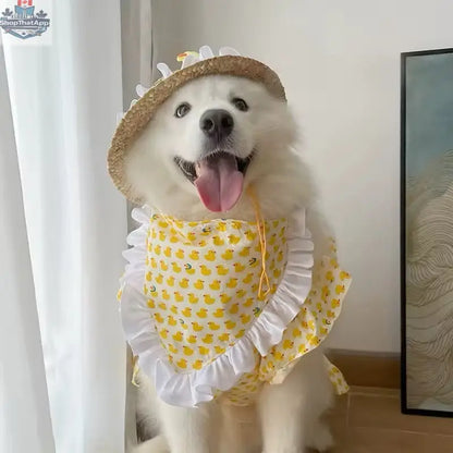 Summertime Happiness Luxury Dog Dress Set with Hat for Large Breeds - Shopthatapp.ca