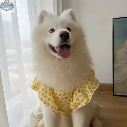 Summertime Happiness Luxury Dog Dress Set with Hat for Large Breeds - Shopthatapp.ca