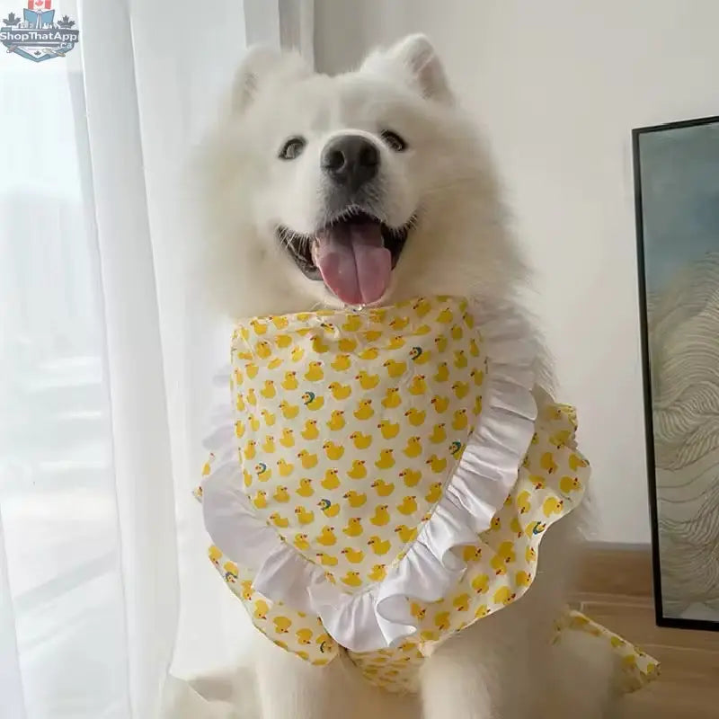 Summertime Happiness Luxury Dog Dress Set with Hat for Large Breeds - Shopthatapp.ca
