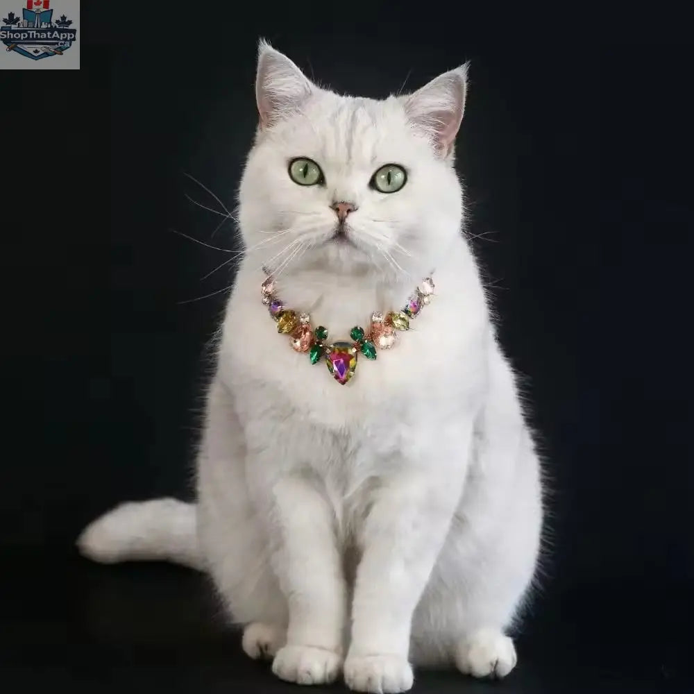Bridgette Necklace – Luxury Rhinestone Pet Necklace - Shopthatapp.ca