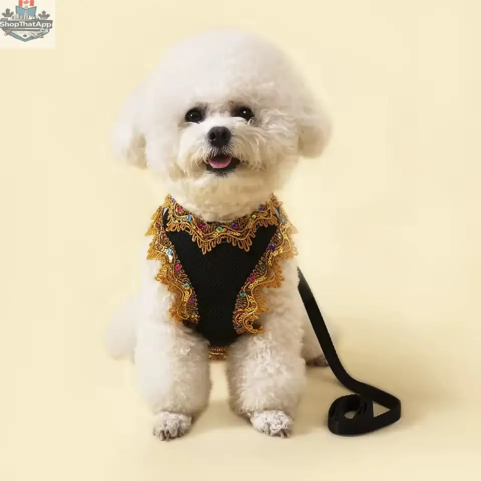 Crystal Lace Luxury Dog Harness and Leash Set – Designer Pet Wear - Shopthatapp.ca