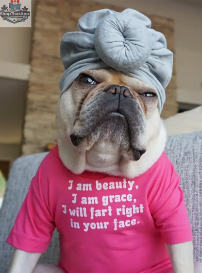Funny Dog Shirt Pink | I Am Beauty I Am Grace Dog Tee - Shopthatapp.ca