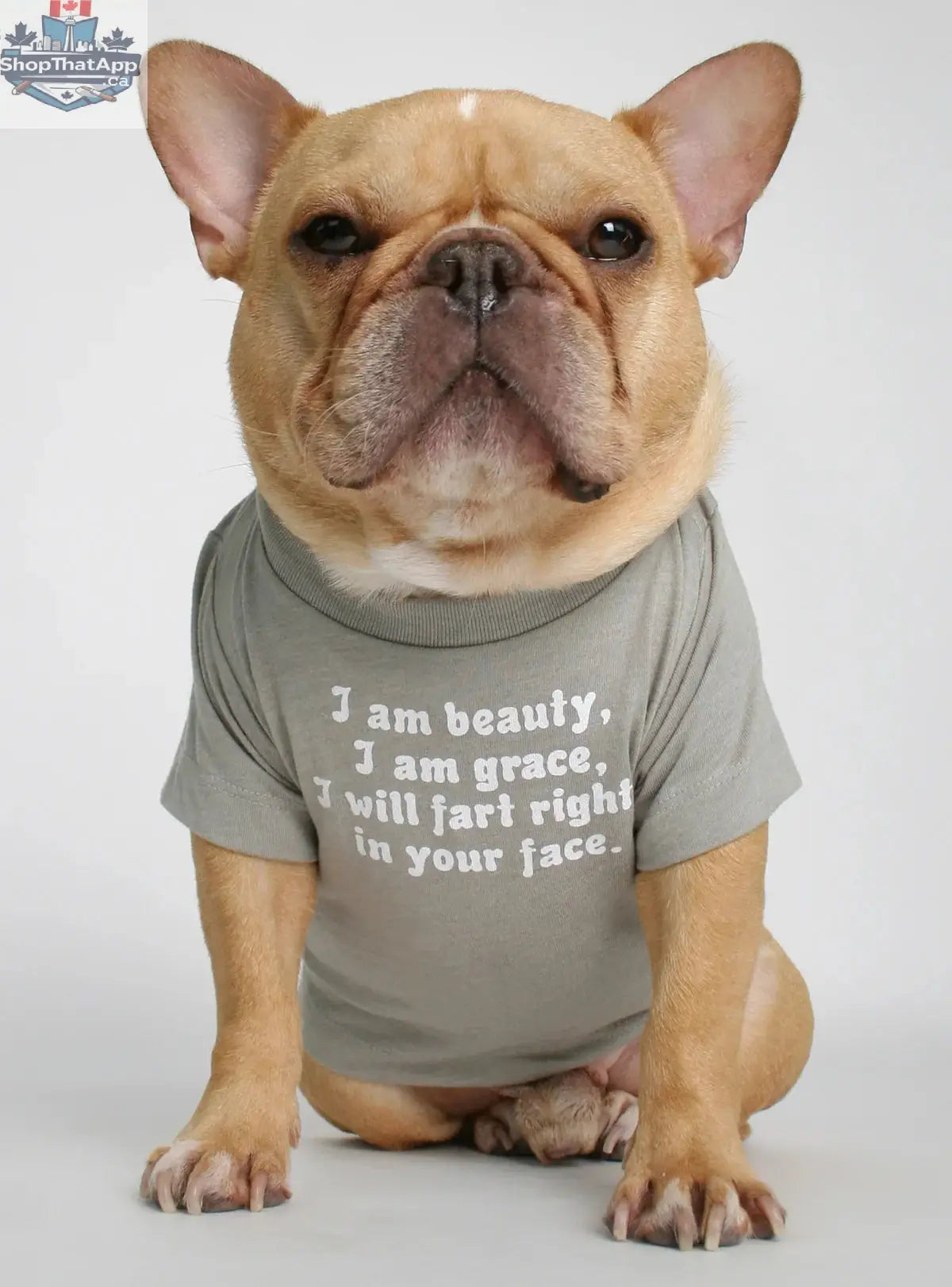 I Am Beauty I Am Grace I Will Fart Right In Your Face Funny Dog Tee Shirt - Grey - Shopthatapp.ca