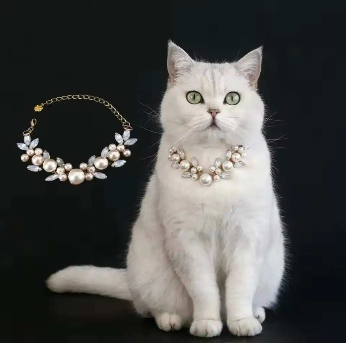 Queen of Pearls Necklace – Luxury Pearl Pet Necklace - Shopthatapp.ca
