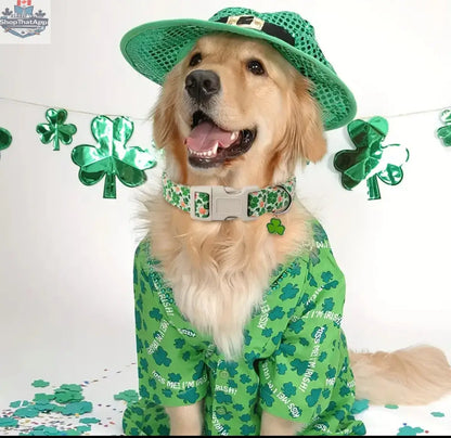 Saint Patrick's Day Dog Collar – Luxurious and Festive Collar for Your Pup - Shopthatapp.ca
