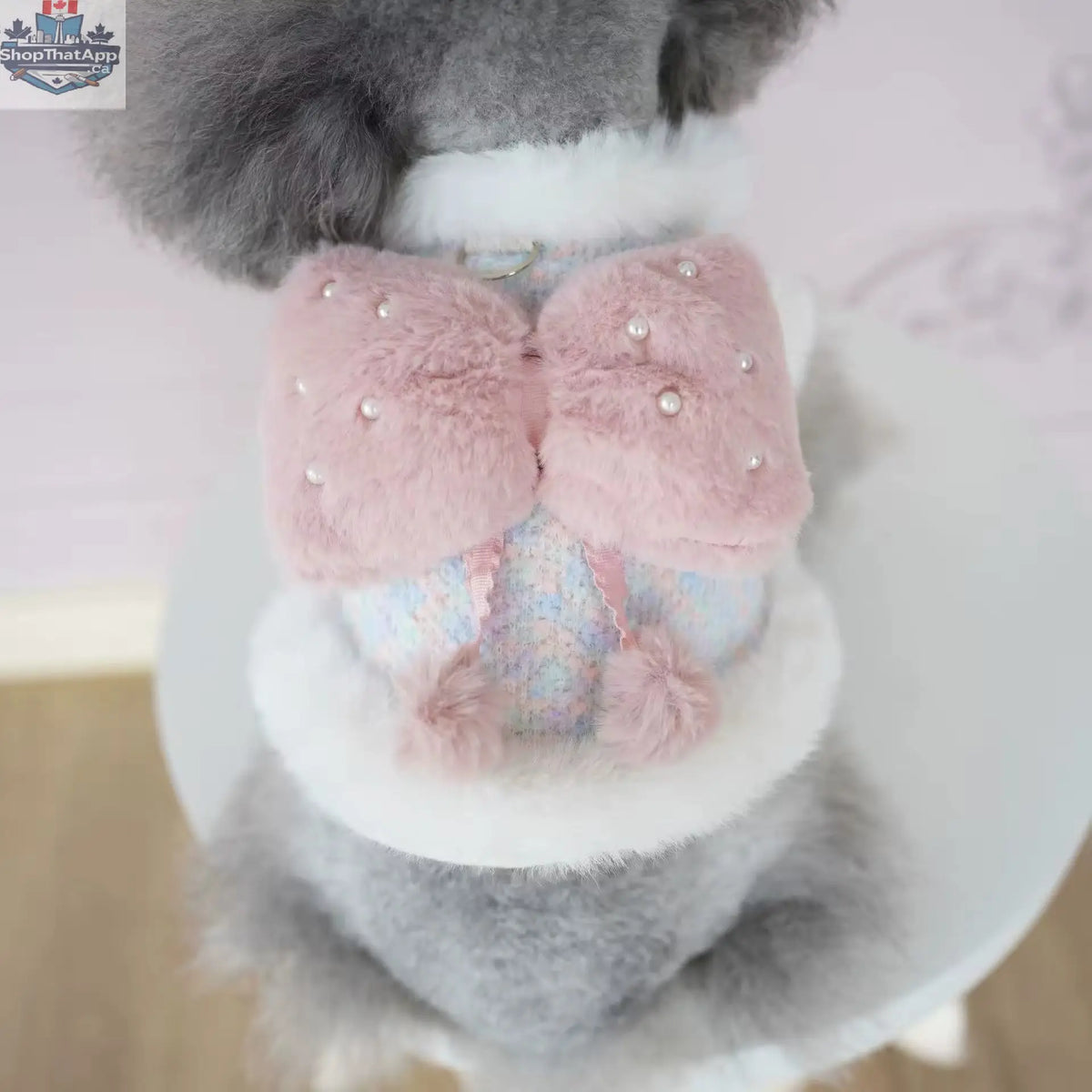 Princessa Easter Coat for Dogs | Luxury Spring Dog Outfit - Shopthatapp.ca