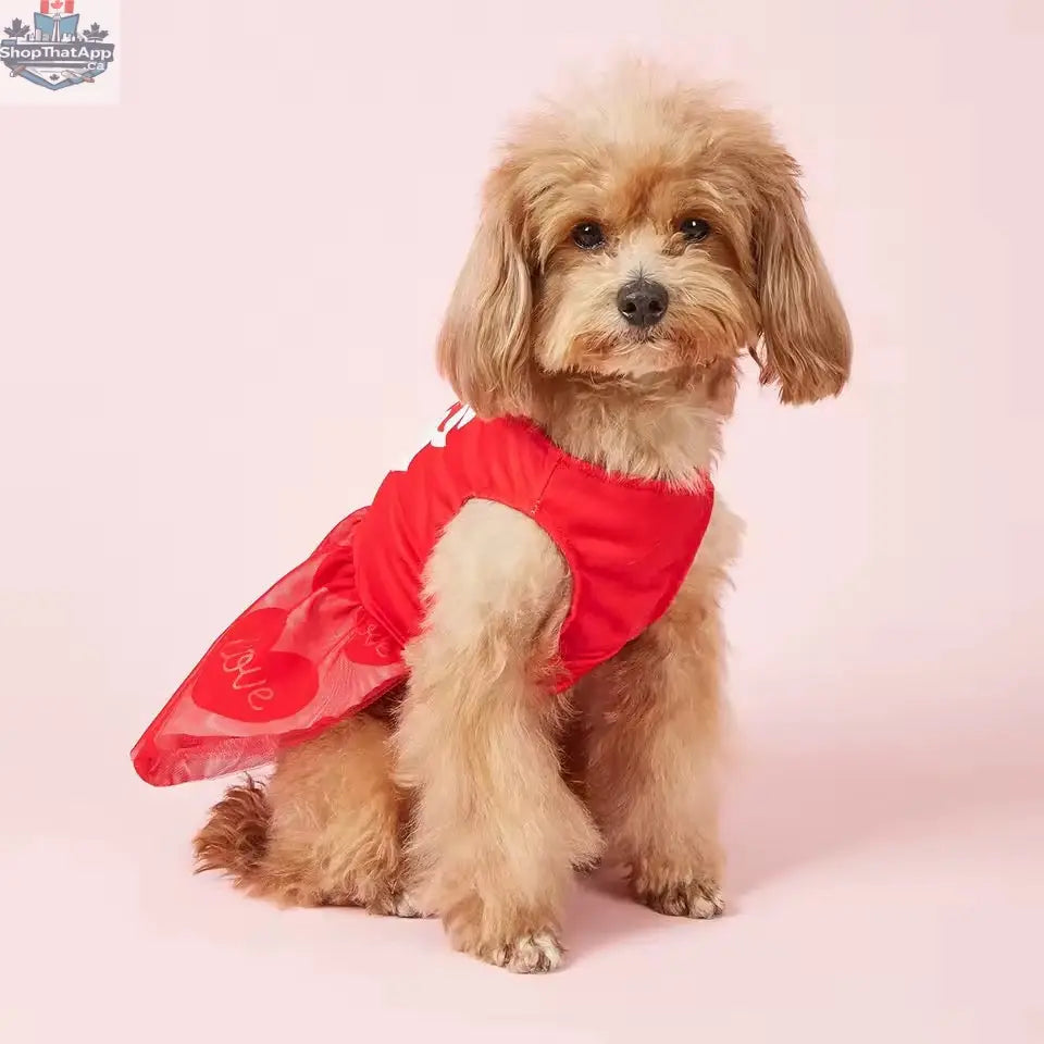 25¢ Kisses Valentine Dog Dress – Red Heart Puppy Outfit - Shopthatapp.ca