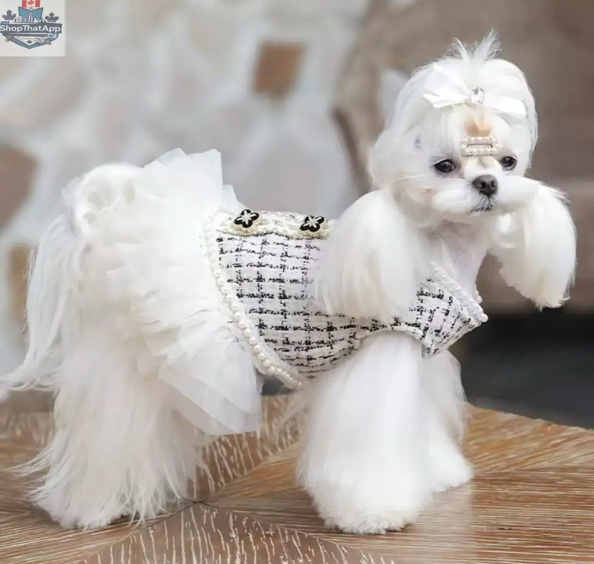 Coco Chewnel Dress – Luxury Tweed Dog Dress - Shopthatapp.ca