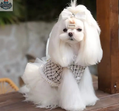 Coco Chewnel Dress – Luxury Tweed Dog Dress - Shopthatapp.ca
