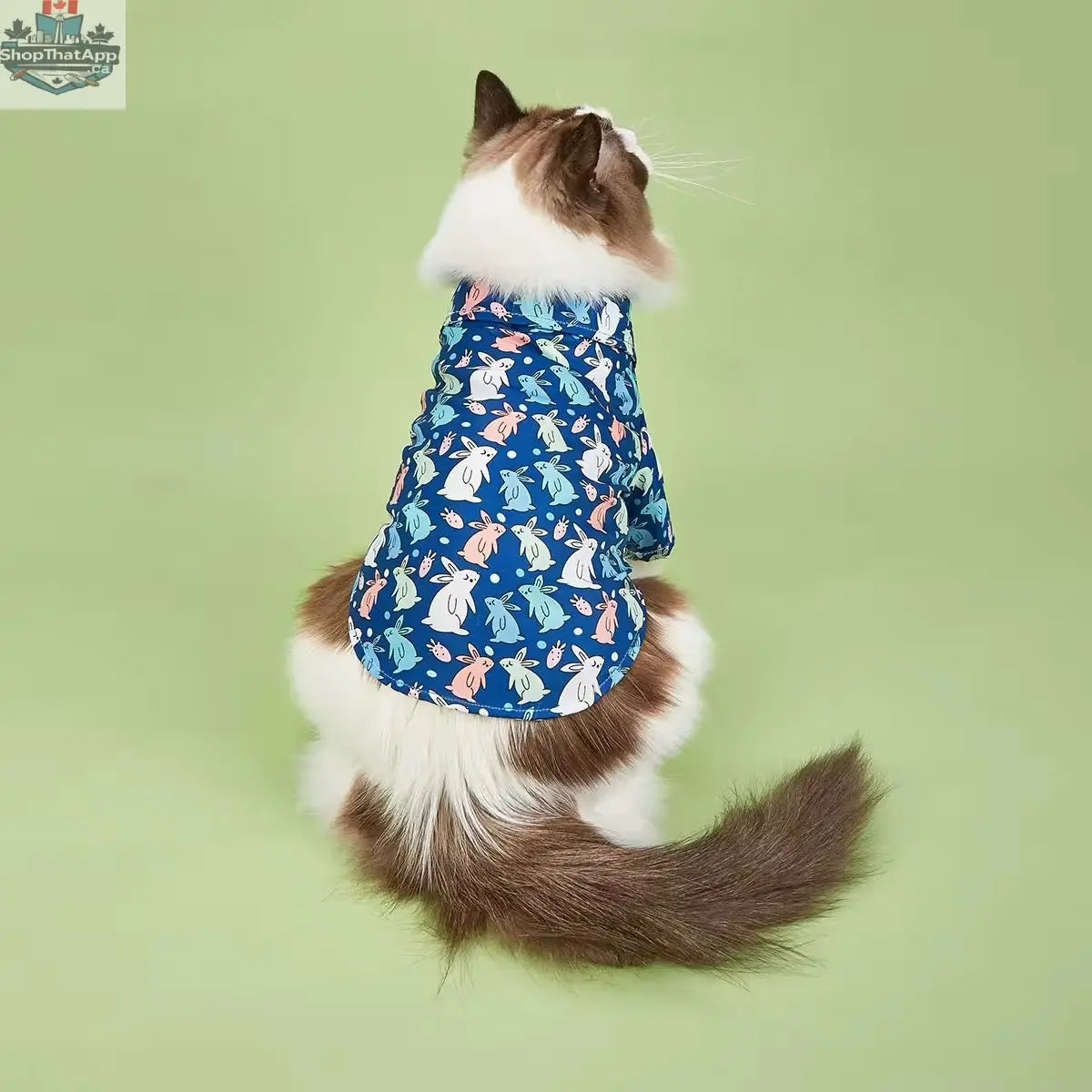 Easter Bunny Dog Shirt – Stylish Festive Luxury Shirt for Dogs - Shopthatapp.ca