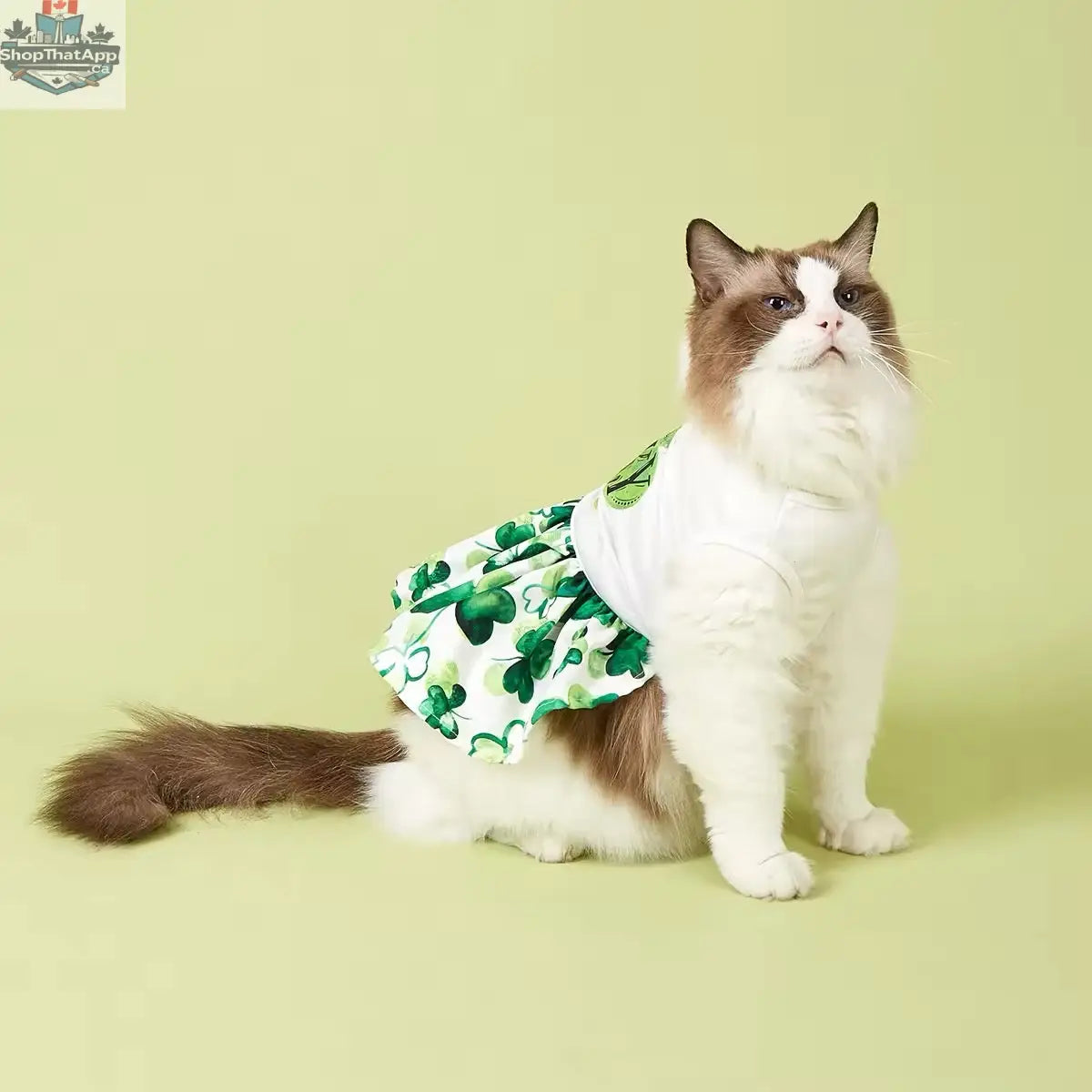 It’s Your Lucky Day Dress – Charming Saint Patrick's Day Dog Dress - Shopthatapp.ca
