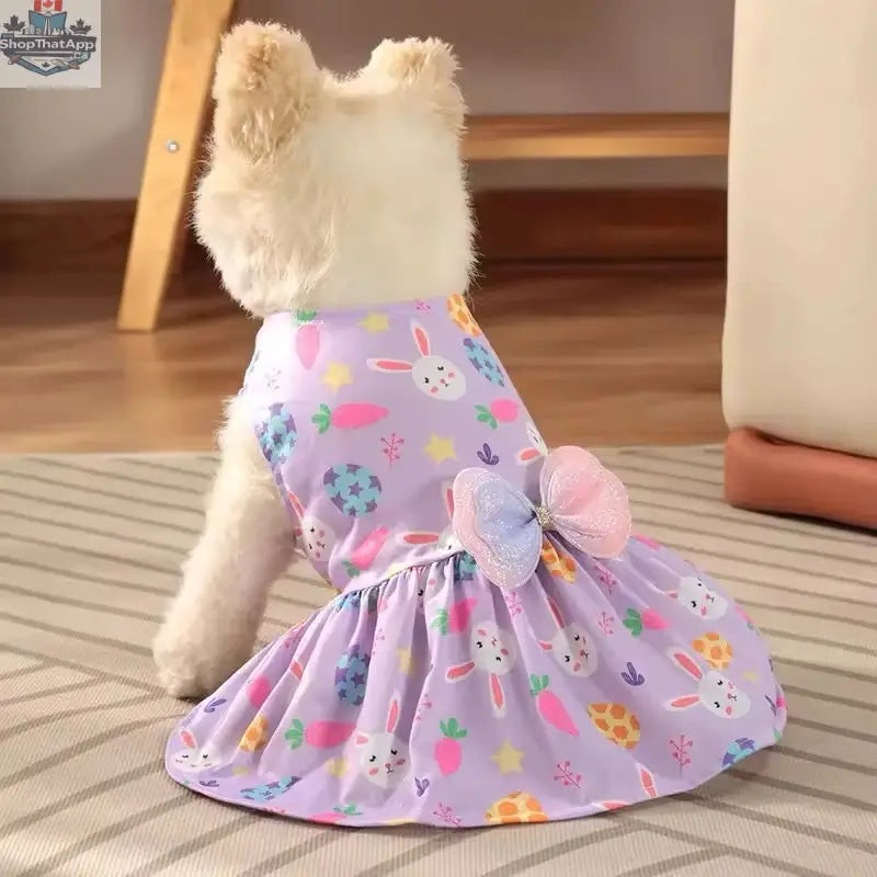 Lilac Easter Bunny Dog Dress for Your Stylish Pup - Shopthatapp.ca
