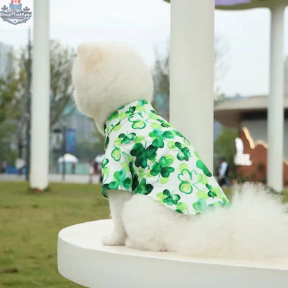 Saint Patrick's Day Dog Shirt - Adorable Festive Holiday Pet Tee for Your Furry Friend - Shopthatapp.ca