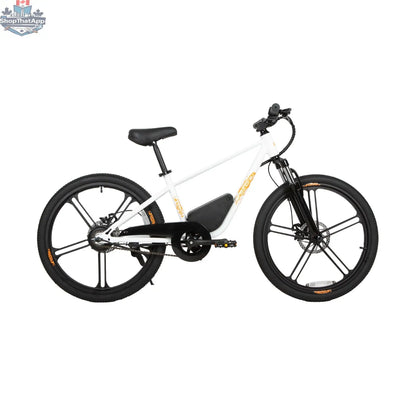 E-Vélo EUNORAU QUEBEC EKIDS24 1.0 electric bicycle for kids with colorful frame and safety features, designed for engaging learning.
