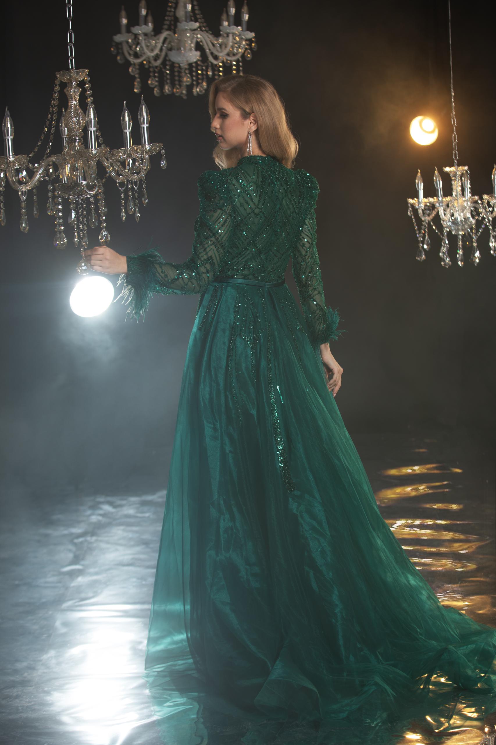 Embellished Long sleeves Evening Gown - Www.Shopthatapp.ca