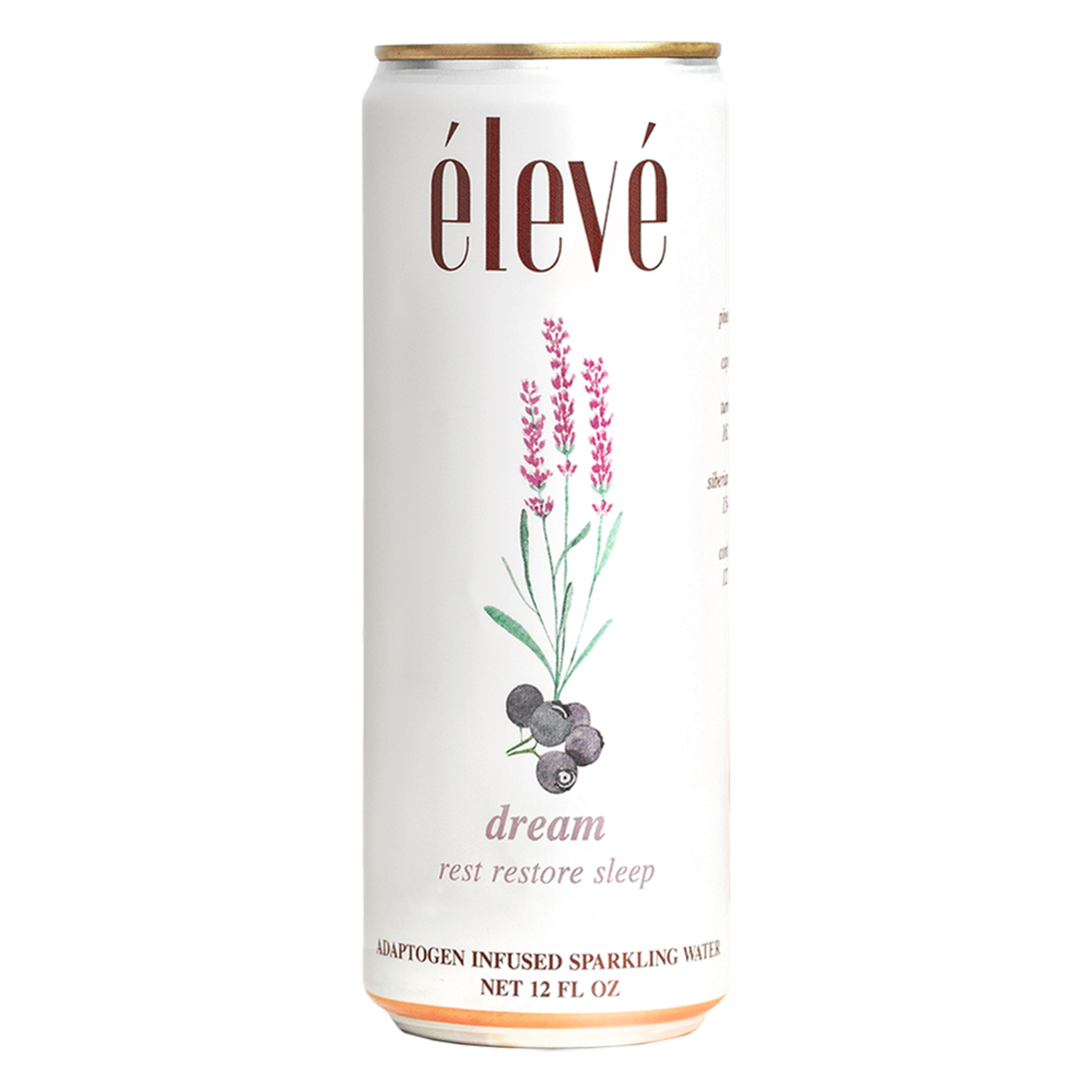 Elevé Dream Decor - Enchanting Transformations for Your Space