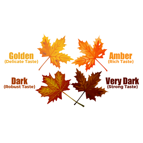 Organic maple syrup in glass bottles - Shopthatapp.ca