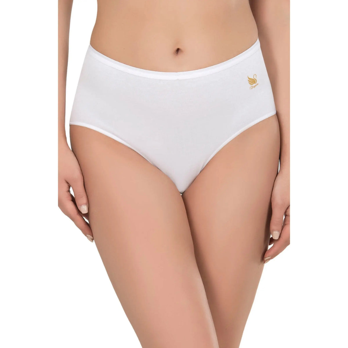 Three pairs of women's high-waist modal cotton panties in neutral colors from Hazel Textile, laid flat for display.