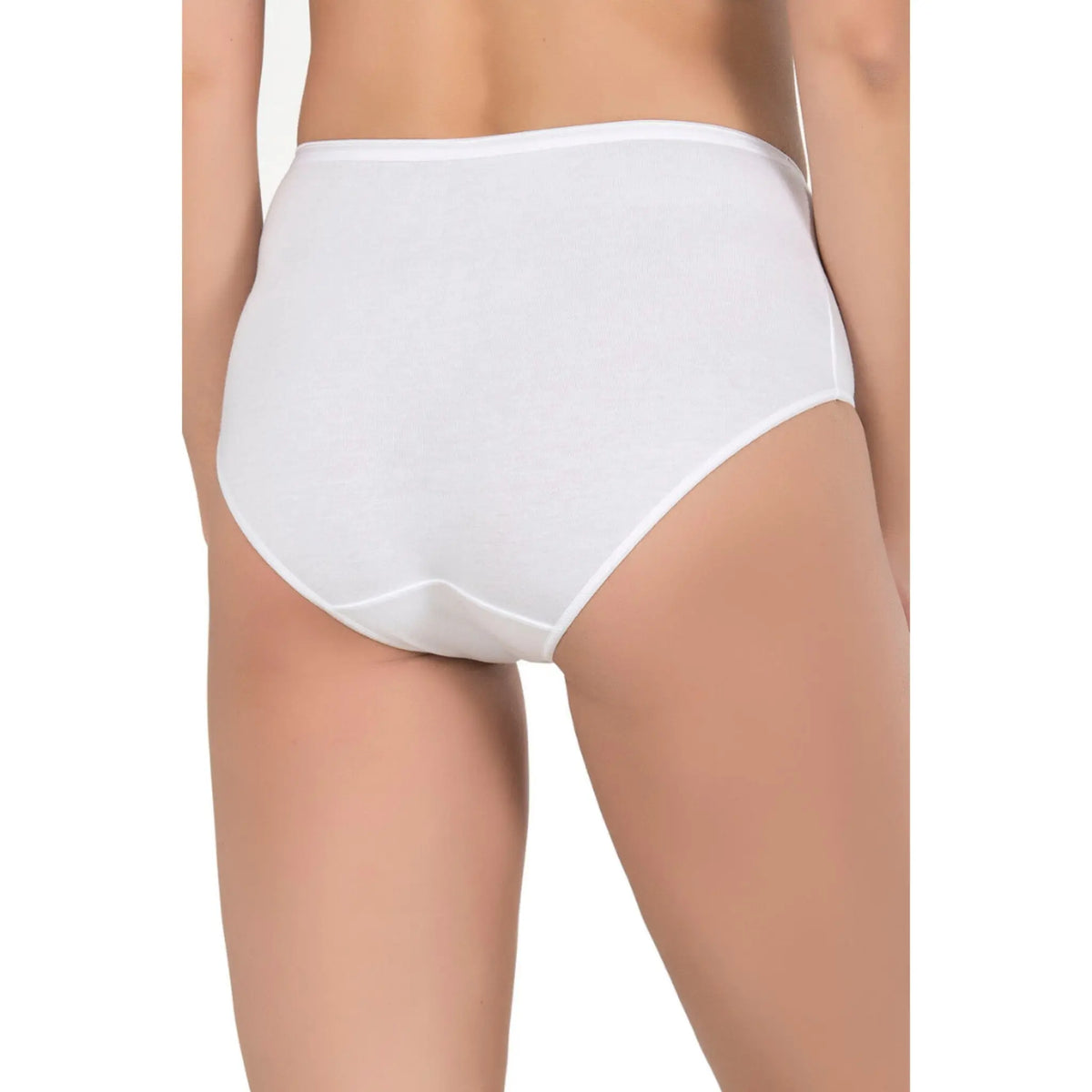Three pairs of women's high-waist modal cotton panties in neutral colors from Hazel Textile, displayed laid flat.