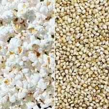 Bulk White Hull-less Popcorn Kernels (6lbs, 12lbs, 18lbs, 24lbs) (Product of Canada)