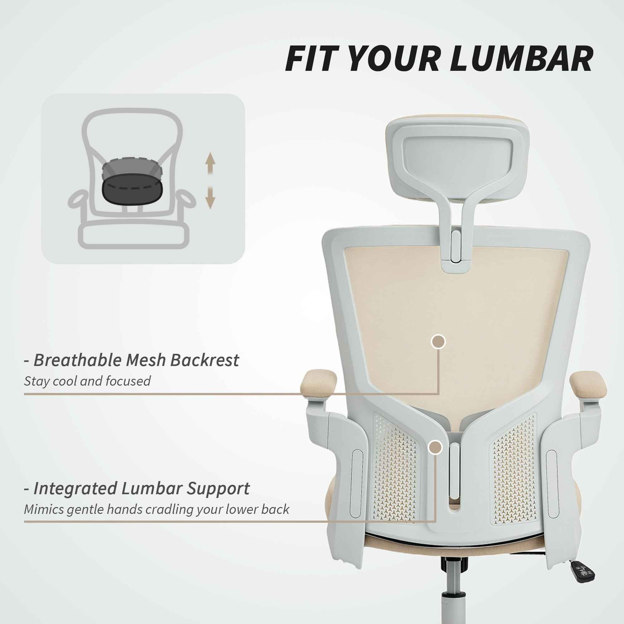 Andre Ergonomic Office Chair with 2D Lumbar Support and adjustable Headrest-Beige/White