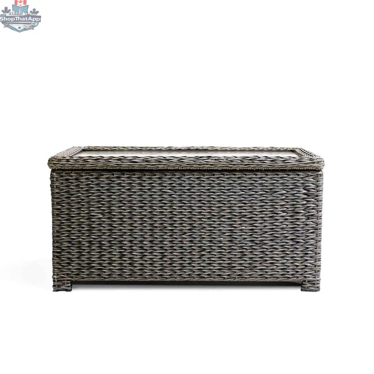 Krikacy Laguna Point brown wicker outdoor storage chest coffee table with park meadow style wicker chair, front view.