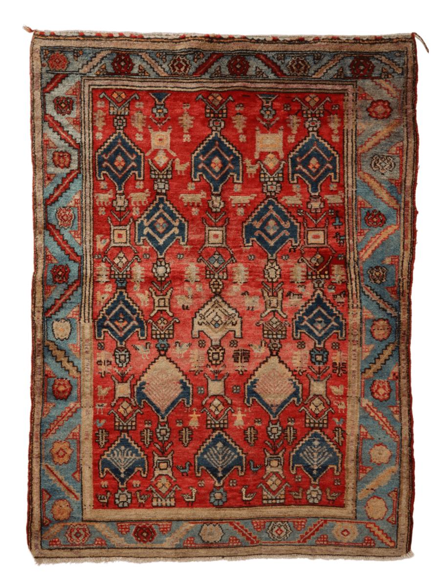 Kurdish Koliayi Rug | 4' 3" x 6' 1" - Shopthatapp.ca