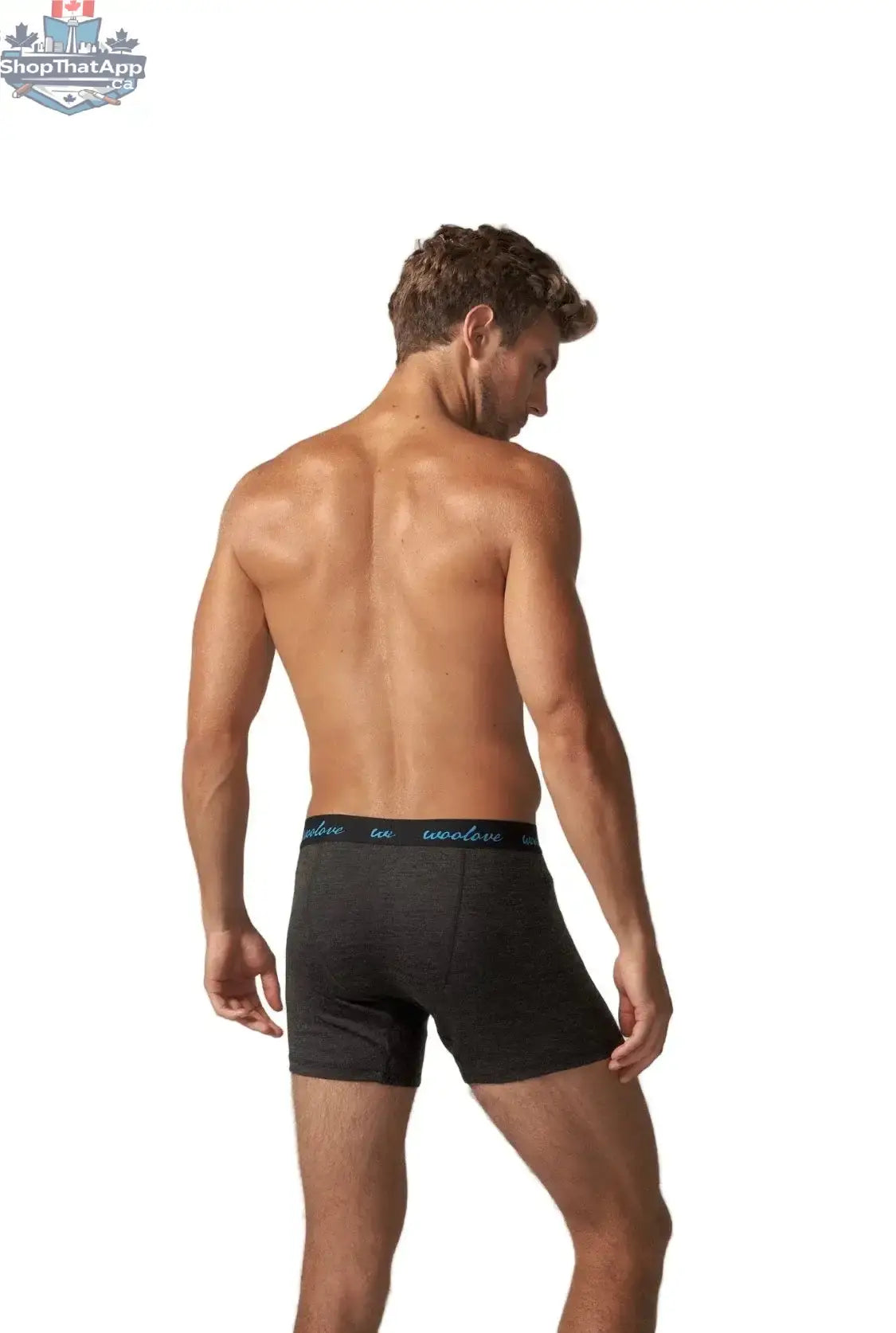 Men's Merino Wool Boxer Briefs - Shopthatapp.ca