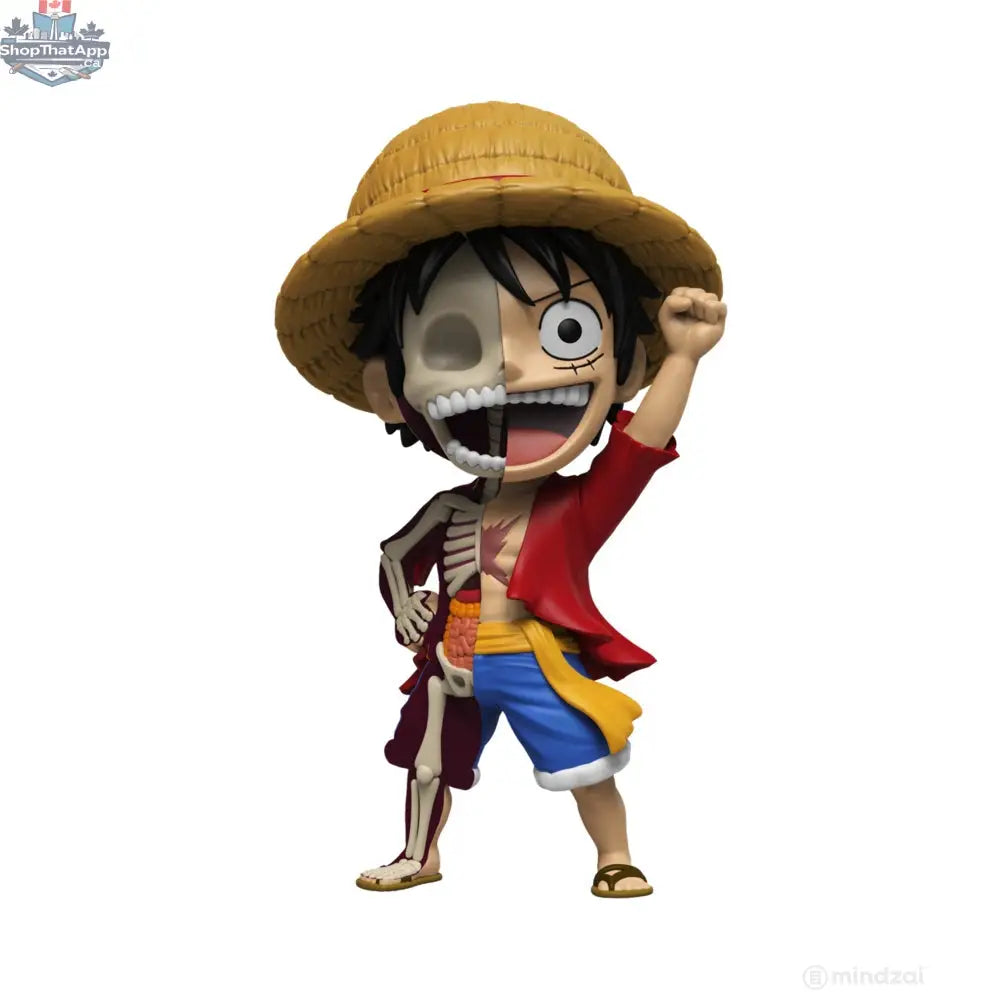 Dissectable One Piece toy figure from Jason Freeny x Mighty Jaxx series, showing detailed internal design and vibrant colors.