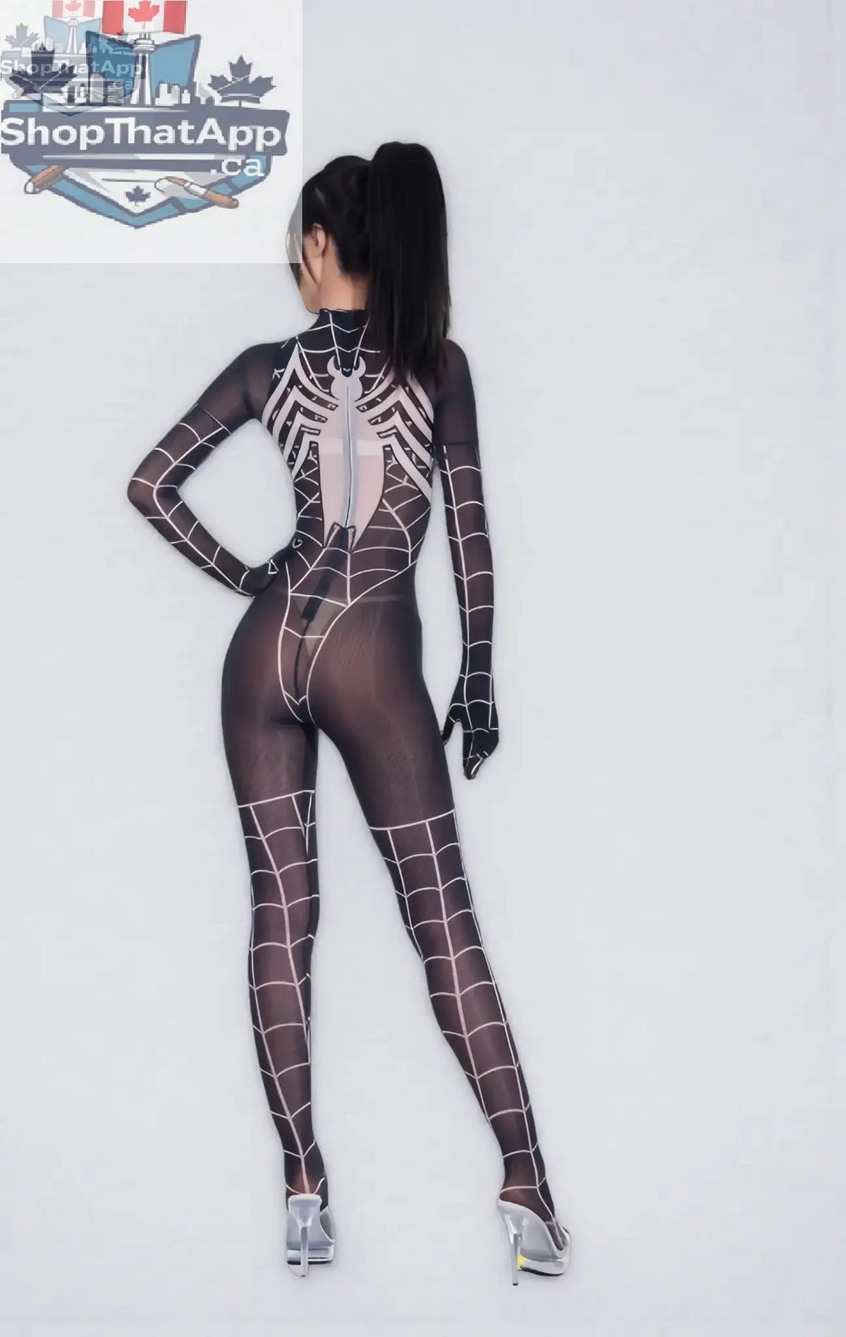 MRJCOS Super Hero Spider sheer bodysuit lingerie, 10D nylon full bodystocking with spider design, form-fitting and see-through.
