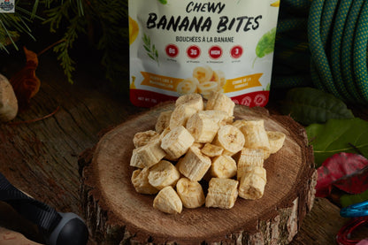 Nomad Nutrition Chewy Banana Bites, plant-based vegan dehydrated banana snacks, gluten-free healthy treat.