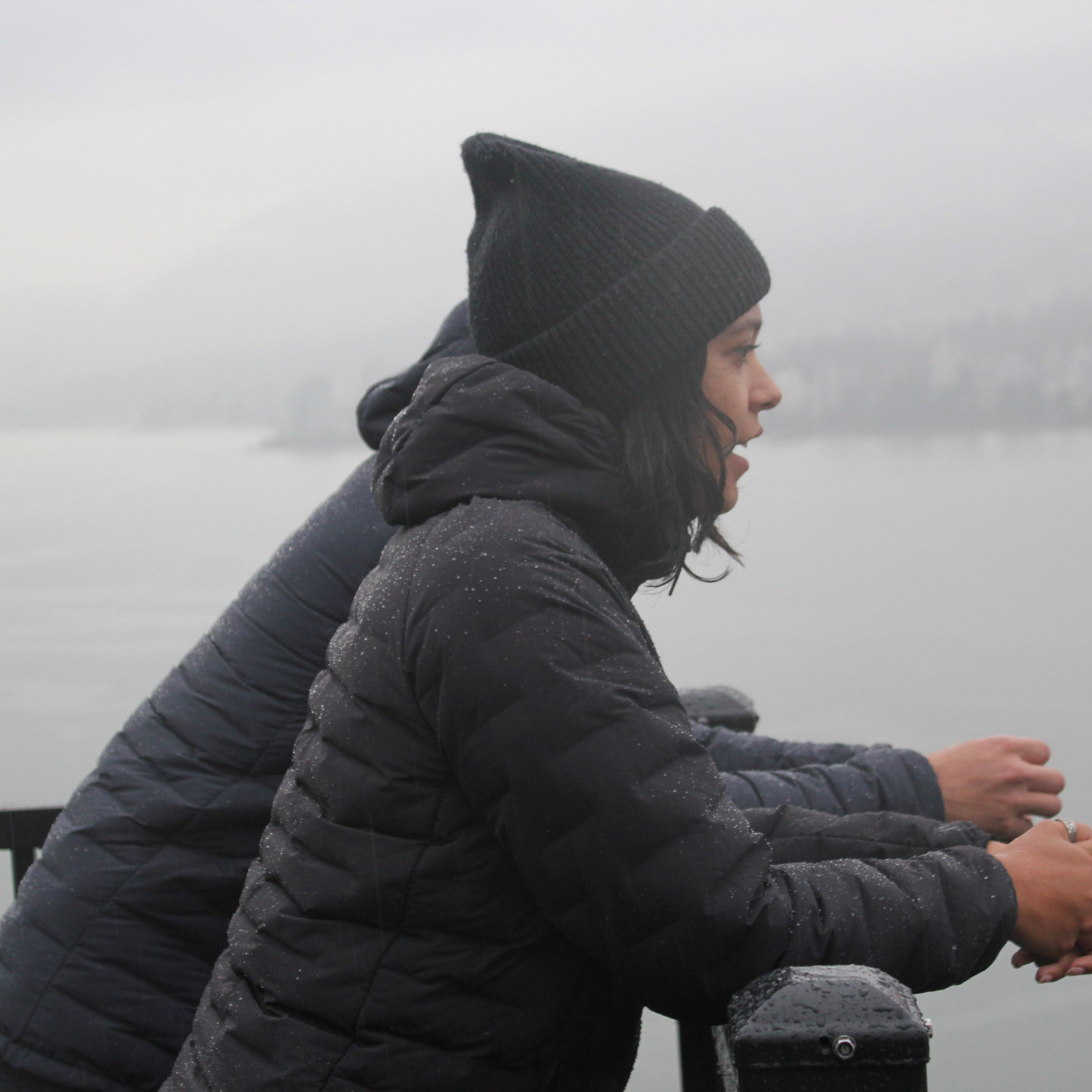 Dawson Down Jacket - Shopthatapp.ca